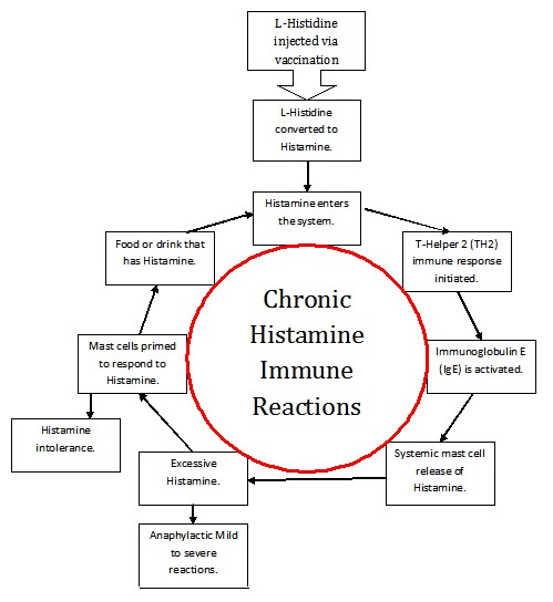 Cells Secreting Histamine Diet